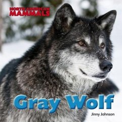 Gray Wolf - Johnson, Jinny