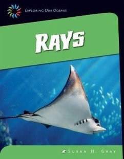 Rays - Gray, Susan H