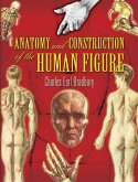 Anatomy and Construction of the Human Figure (eBook, ePUB)