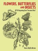 Flowers, Butterflies and Insects (eBook, ePUB)