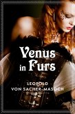 Venus in Furs (eBook, ePUB)
