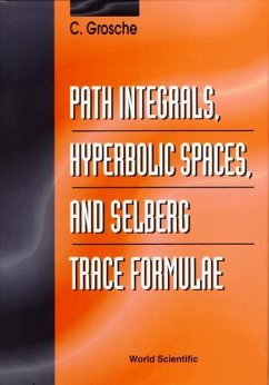 Path Integrals, Hyperbolic Spaces and Selberg Trace Formulae - Grosche, Christian