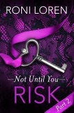 Risk (eBook, ePUB)