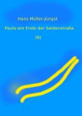 Paulo am Ende der Seidenstraße (8) (eBook, ePUB)