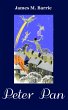 Peter Pan (eBook, ePUB) - Bild 1