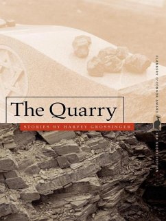 Cover The Quarry (eBook, ePUB)