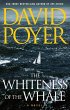 The Whiteness of the Whale (eBook, ePUB) - Bild 1