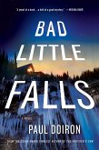 Bad Little Falls (eBook, ePUB)