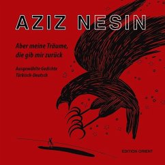 Aber meine Träume, die gib mir zurück (Türkisch-Deutsch) - Nesin, Aziz