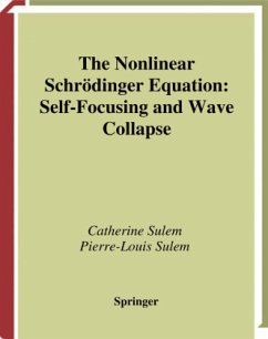 The Nonlinear Schrödinger Equation - Sulem, Catherine;Sulem, Pierre-Louis