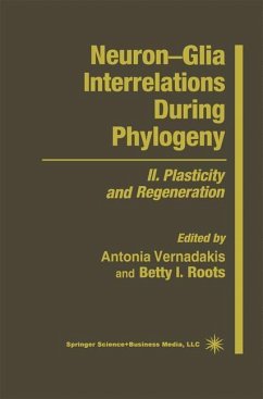 Neuron¿Glia Interrelations During Phylogeny - Vernadakis, Antonia;Roots, Betty I.
