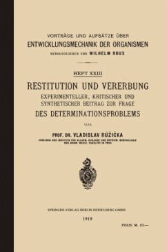 Restitution und Vererbung - Ruzicka, Vladislav