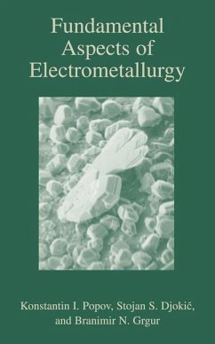 Fundamental Aspects of Electrometallurgy - Popov, Konstantin;Grgur, Branamir;Djokic, Stojan S.