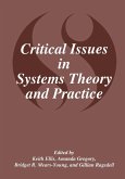Critical Issues in Systems Theory and Practice Critical Issues in Systems Theory and Practice