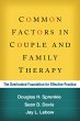 Common Factors in Couple and Family... - Bild 1