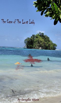 The case of the lost lady (eBook, ePUB) - Rhein, Douglas