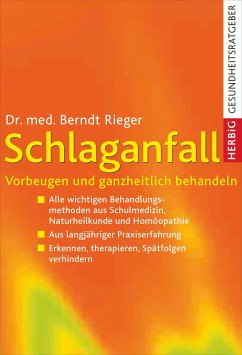 Schlaganfall (eBook, ePUB) - Rieger, Berndt