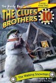 The Walking Snowman (eBook, ePUB)