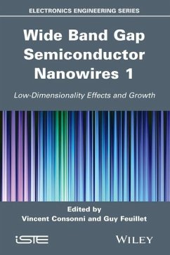 Wide Band Gap Semiconductor Nanowires 1 - Feuillet, Guy; Consonni, Vincent