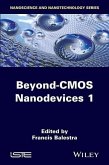 Beyond-CMOS Nanodevices 1