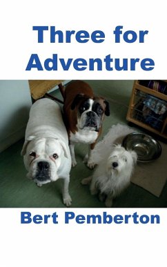 Three for Adventure - Pemberton, Bert