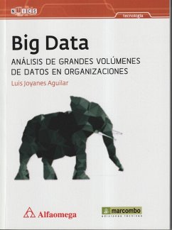 BIG DATA: ANÁLISIS DE GRANDES VOLÚMENES DE DATOS EN ORGANIZACIONES