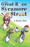 The Great Race to Sycamore Street (eBook, ePUB)