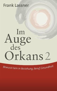 Im Auge des Orkans 2 (eBook, ePUB) - Lassner, Frank