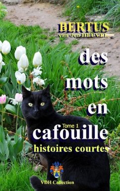 Des Mots en Cafouille (eBook, ePUB)