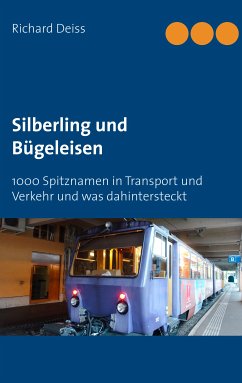 Silberling und Bügeleisen (eBook, ePUB)