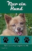 Cover Nur ein Hund (eBook, ePUB)