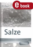 Salze (eBook, PDF)