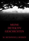 Meine Detektivgeschichten (eBook, ePUB)