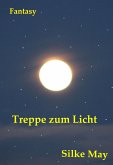 Treppe zum Licht (eBook, ePUB)