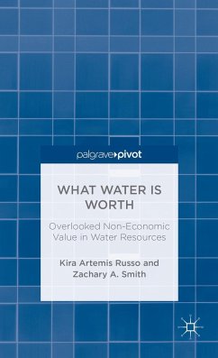 What Water Is Worth: Overlooked Non-Economic Value in Water Resources - Russo, K.;Smith, Z.