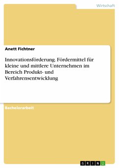 Innovationsförderung. Fördermittel für kleine und mittlere Unternehmen im Bereich Produkt- und Verfahrensentwicklung (eBook, PDF)