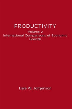 Productivity, Volume 2 - Jorgenson, Dale W.