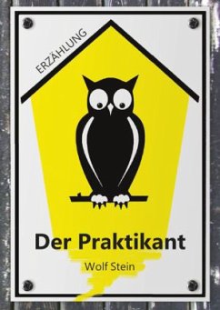 Cover Der Praktikant