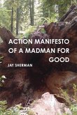Action Manifesto of a Madman for Good