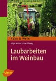 Laubarbeiten im Weinbau (eBook, PDF)