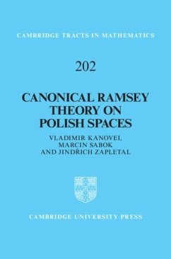 Cover Canonical Ramsey Theory on Polish Spaces (eBook, PDF)
