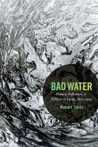 Bad Water: Nature, Pollution, and Politics in Japan, 1870-1950