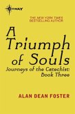 A Triumph of Souls (eBook, ePUB) A Triumph of Souls (eBook, ePUB)