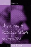 Meaning and Representation in History (eBook, ePUB)