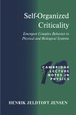 Self-Organized Criticality (eBook, PDF)
