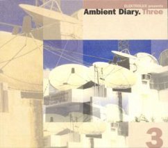 Cover Ambient Diary Three