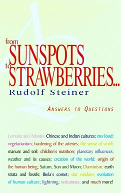 From Sunspots to Strawberries (eBook, ePUB) - Steiner, Rudolf