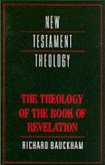 Theology of the Book of Revelation (eBook, PDF) Theology of the Book of Revelation (eBook, PDF)