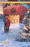 White Christmas in Dry Creek (Mills & Boon Love Inspired) (Return to Dry Creek, Book 5) (eBook, ePUB)