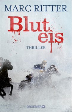 Bluteis (eBook, ePUB) - Ritter, Marc